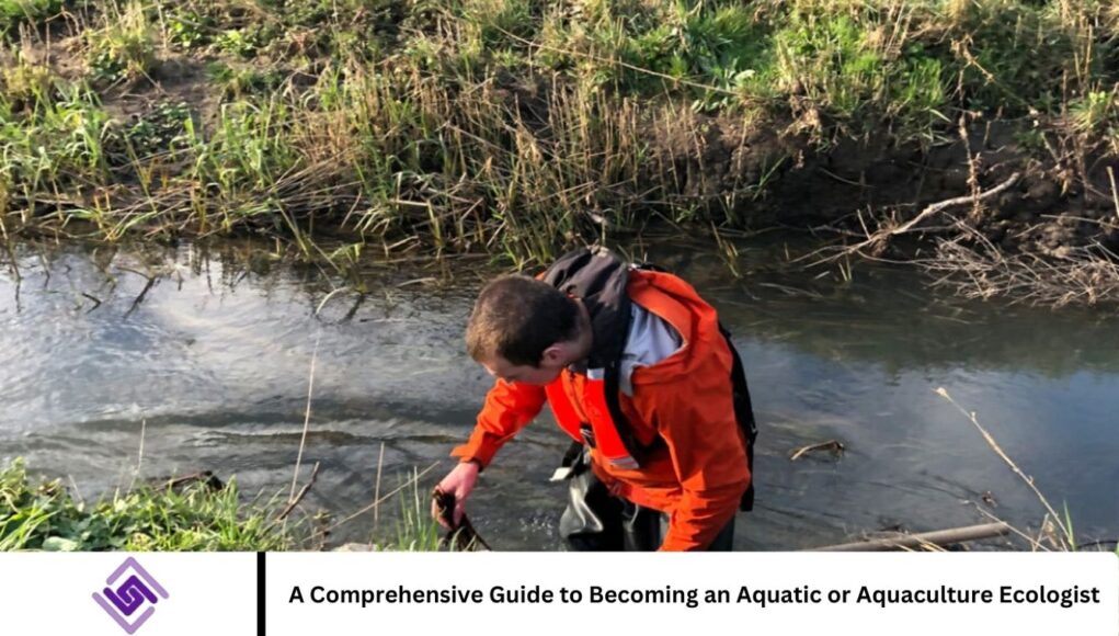 A Comprehensive Guide to Becoming an Aquatic or Aquaculture Ecologist