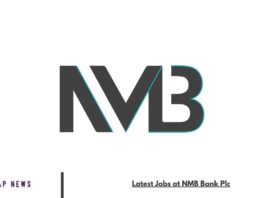 Latest Jobs at NMB Bank Plc