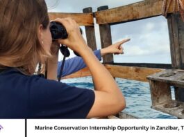 Marine Conservation Internship Opportunity in Zanzibar, Tanzaniaa