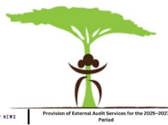 Provision of External Audit Services for the 2025–2027 Period Provision of External Audit Services for the 2025–2027 Period