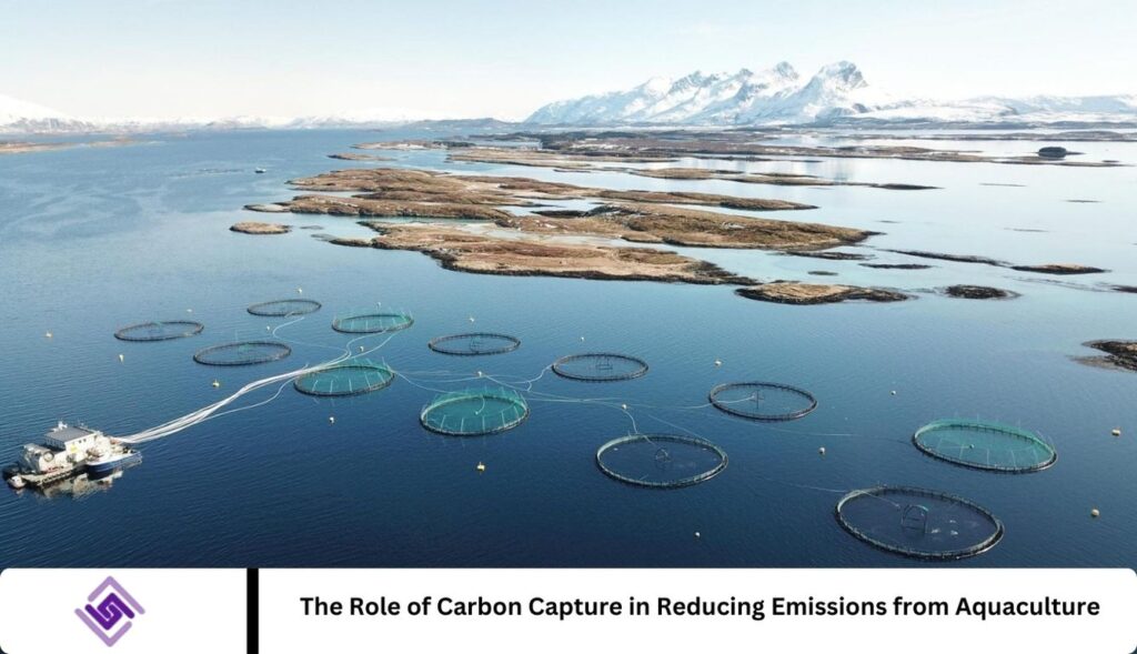 The Role of Carbon Capture in Reducing Emissions from Aquaculture