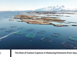 The Role of Carbon Capture in Reducing Emissions from Aquaculture