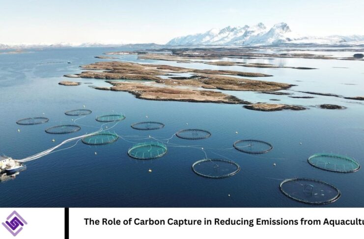 The Role of Carbon Capture in Reducing Emissions from Aquaculture